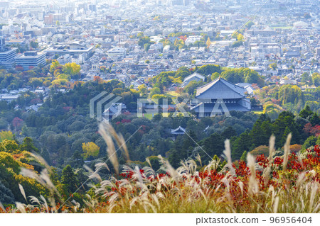 紅葉季節若草山蒲葦下的東大寺大佛殿和奈良街景 紅葉季節若草山蒲葦下的東大寺大佛殿和奈良街景 96956404