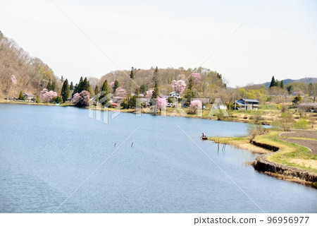 中綱湖的春景 96956977