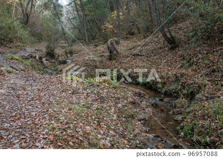 大阪府交野市落葉堆積的初冬石神川徒步路線 大阪府交野市落葉堆積的初冬石神川徒步路線 96957088