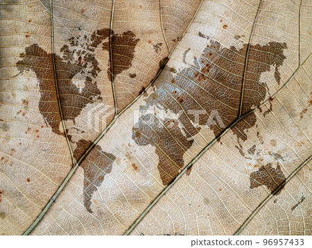 world map on leaf background - Stock Illustration [96957433] - PIXTA