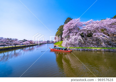 Inner moat and Yakatabune of Hikone Castle in full spring 96957628