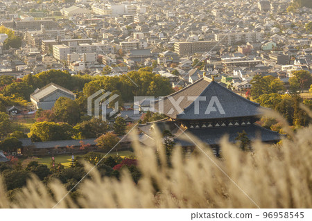 The Great Buddha Hall of Todaiji Temple and the townscape of Nara seen through the pampas grass of Mt. Wakakusa, the season of autumn leaves 96958545