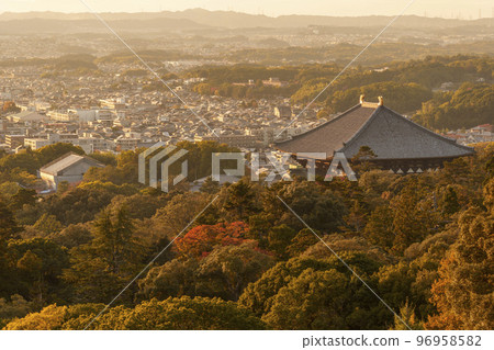 Todaiji Great Buddha Hall dyed in golden color (view from Mt. Wakakusa) Autumn leaves season 96958582