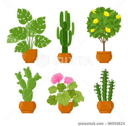Cartoon house botanical decor potted plants. Different houseplants with green leaves, pink flowers and lemon citrus Cartoon house botanical decor potted plants. Different houseplants with green leaves, pink flowers and lemon citrus 96958624