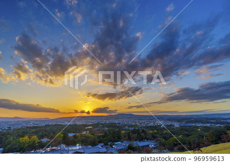 從若草山眺望奈良公園和奈良市的夜景 96959613