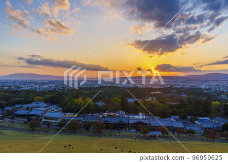 Evening view of Nara Park and Nara City from Mt. Wakakusa 96959625