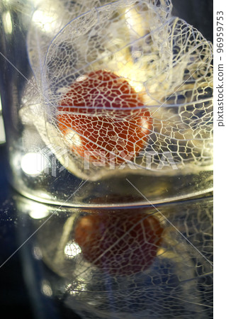 A photo of a watermark physalis in a glass with illumination on a black background A photo of a watermark physalis in a glass with illumination on a black background 96959753