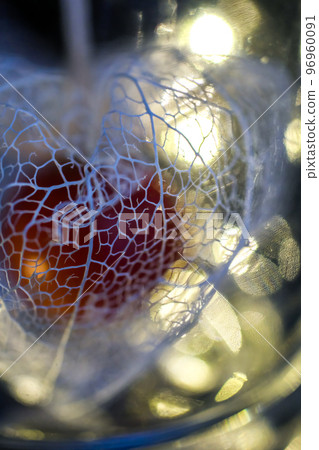 A watermark physalis that stands out against a black background and is colored with the light of illumination. 96960091