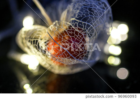 A watermark physalis that stands out against a black background and is colored with the light of illumination. A watermark physalis that stands out against a black background and is colored with the light of illumination. 96960093