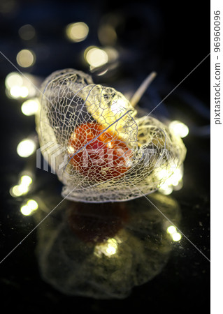 A watermark physalis that stands out against a black background and is colored with the light of illumination. A watermark physalis that stands out against a black background and is colored with the light of illumination. 96960096
