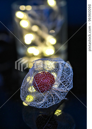 A watermark physalis that stands out against a black background and is colored with the light of illumination. 96960098