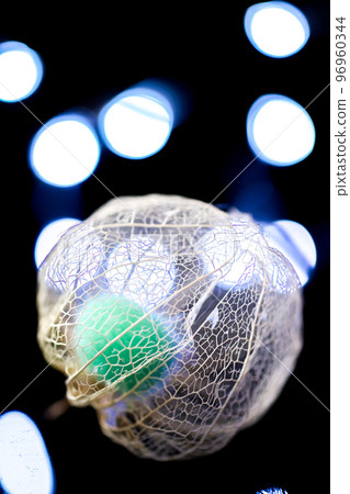 A photograph of a watermark physalis that stands out on a black background and is colored by the light of the illumination A photograph of a watermark physalis that stands out on a black background and is colored by the light of the illumination 96960344