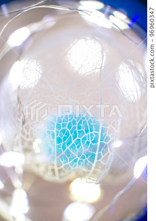 一張水印酸漿的照片，它在黑色背景上顯得格外醒目，並被照明的光線著色 96960347