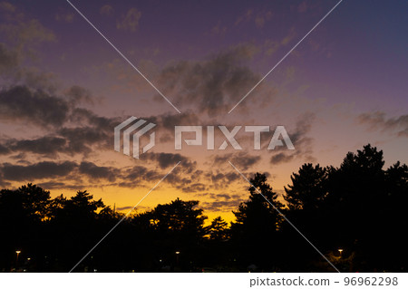 Nara Park evening view (Noborioji-cho, Nara City, Nara Prefecture) 96962298