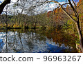 Autumn leaves (Landscape reflected on the surface of the water) 96963267