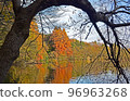 Autumn leaves (Landscape reflected on the surface of the water) 96963268