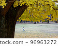 ginkgo and children 96963272