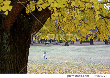 ginkgo and children ginkgo and children 96963272