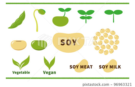 大豆插圖集 96963321