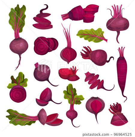 Ripe Purple Beet Root Vegetable with Top Leaves Big Vector Set Ripe Purple Beet Root Vegetable with Top Leaves Big Vector Set 96964525