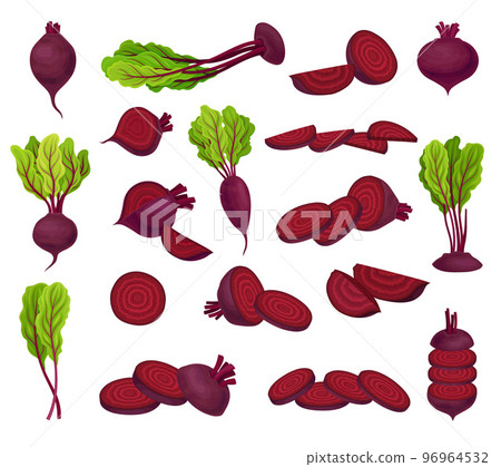 Ripe Purple Beet Root Vegetable with Top Leaves Big Vector Set Ripe Purple Beet Root Vegetable with Top Leaves Big Vector Set 96964532