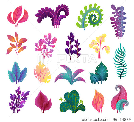 Abstract Plants and Foliage with Unusual Shapes and Colors Big Vector Set 96964829