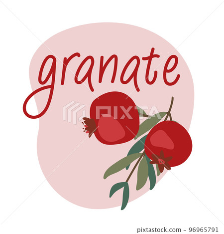 Pomegranate logo. Granate emblem. Vector garnet fruit. Pomegranate logo. Granate emblem. Vector garnet fruit. 96965791