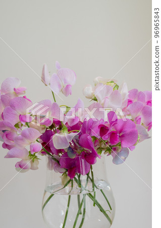 Bouquet of sweet peas in a glass container 96965843