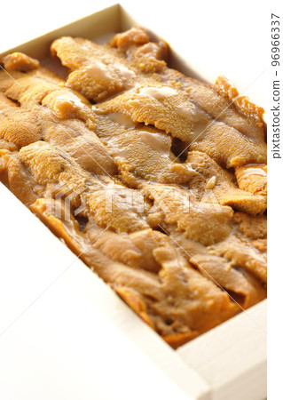 海膽,木箱中的一種奢侈成分,在白色背景下拍攝 海膽,木箱中的一種奢侈成分,在白色背景下拍攝 96966337