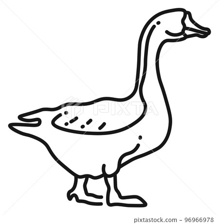 Goose line icon. Farm bird symbol. Domestic animal Goose line icon. Farm bird symbol. Domestic animal 96966978
