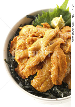 生海膽蓋飯配紫蘇和芥末 生海膽蓋飯配紫蘇和芥末 96967125