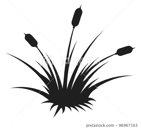 Bulrush silhouette. Wetland natural plant black icon Bulrush silhouette. Wetland natural plant black icon 96967163