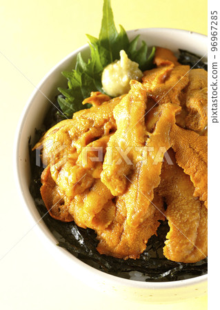 A bird's-eye view of raw sea urchin bowl with perilla and wasabi on top 96967285