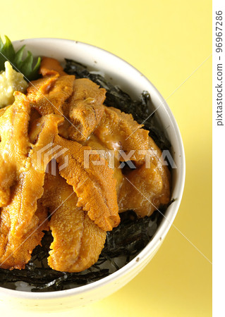 紫蘇芥末生海膽蓋飯鳥瞰圖 紫蘇芥末生海膽蓋飯鳥瞰圖 96967286