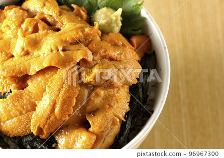 紫蘇芥末生海膽蓋飯鳥瞰圖 紫蘇芥末生海膽蓋飯鳥瞰圖 96967300