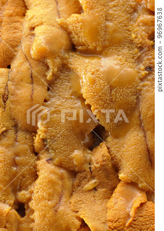 海膽特寫鏡頭，一種奢侈食材 96967638