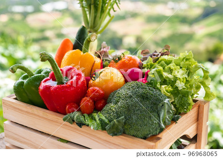 Wooden crate filled with fresh organic vegetables . Wooden crate filled with fresh organic vegetables . 96968065