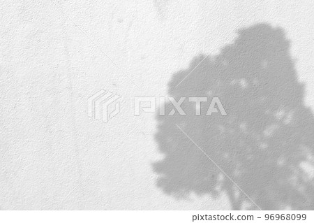 leaf shadows on a white wall leaf shadows on a white wall 96968099