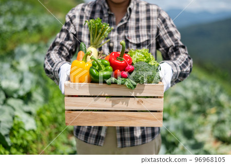 Farmer man holding wooden box full of fresh raw vegetables. Basket with fresh organic vegetable  and peppers in the hands.. 96968105