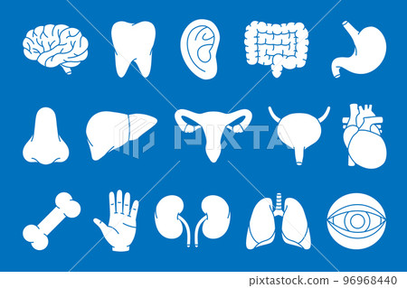 Set of human organs symbol. Brain, tooth, ear, intestines, stomach, nose, liver, reproductive system, heart, bone, hand, kidneys, lungs, eyeball icon. 96968440