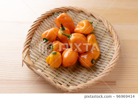 辛辣的橙色蔬菜哈瓦那人 96969414