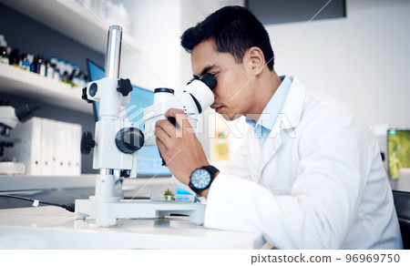 Microbiology, research and scientist with microscope for bacteria in a lab, studying particles and science atom. Healthcare, innovation and worker with technology for medicine, atom data and test 96969750