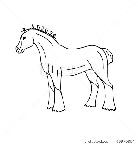 Vector hand drawn doodle sketch shire horse 96970894