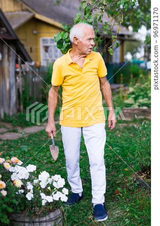 Skilled elderly worker caring for flowers in summer garden Skilled elderly worker caring for flowers in summer garden 96971170
