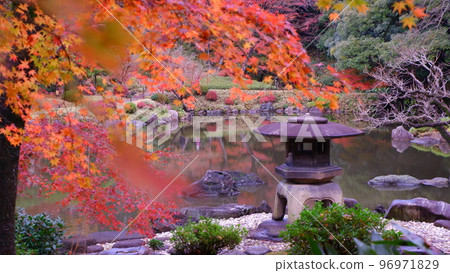 舊古川庭園的紅葉與燈籠 96971829