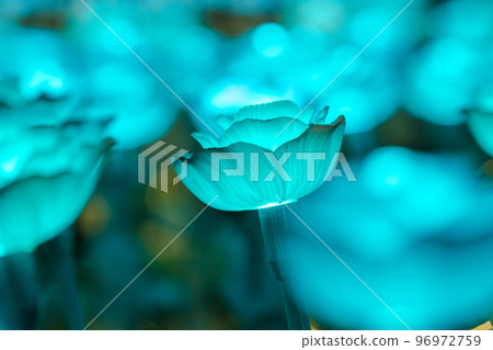 The bulbs were made into roses, arranged as festive decorations. 96972759