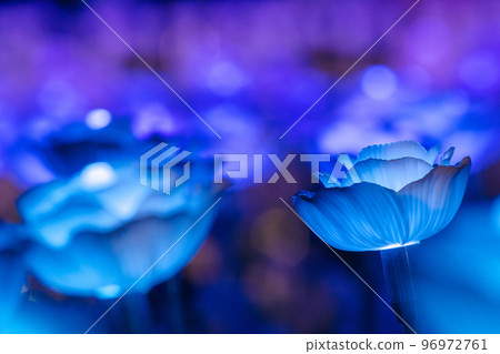 The bulbs were made into roses, arranged as festive decorations. The bulbs were made into roses, arranged as festive decorations. 96972761