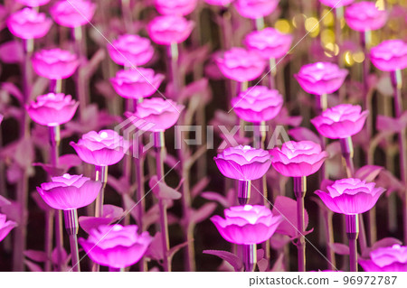 The bulbs were made into roses, arranged as festive decorations. 96972787