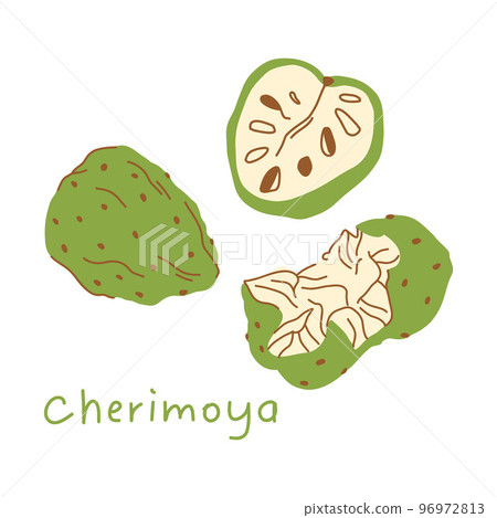 Illustration of cherimoya fruit in flat style. whole fruit, half fruit and torn fruit, with pits. Illustration of cherimoya fruit in flat style. whole fruit, half fruit and torn fruit, with pits. 96972813