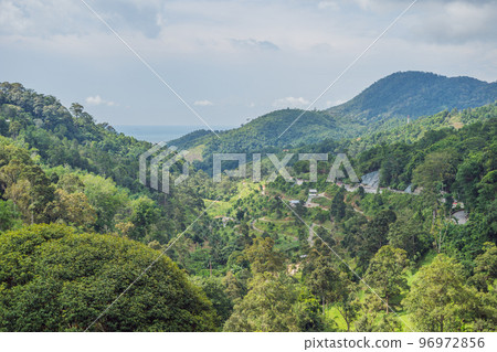 Green valley with blue hills and sea 96972856
